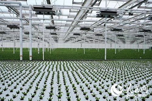 西部大開發(fā)新篇章 以高水平開放引領(lǐng)環(huán)保科技領(lǐng)域的技術(shù)創(chuàng)新