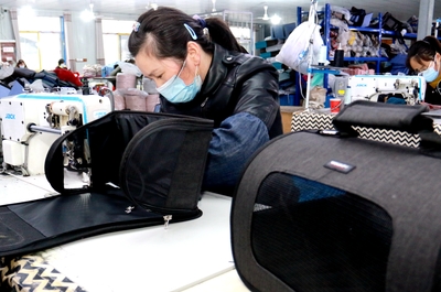 安徽太湖 能人回村添活力，箱包加工促振興